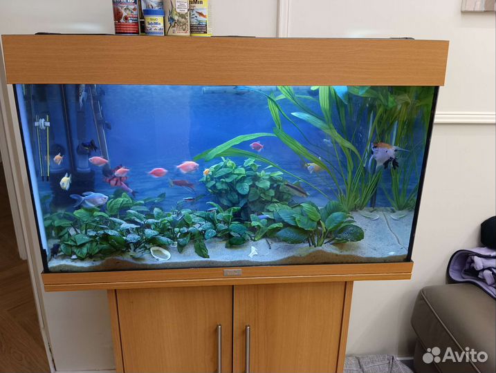 Обслуживание аквариумов