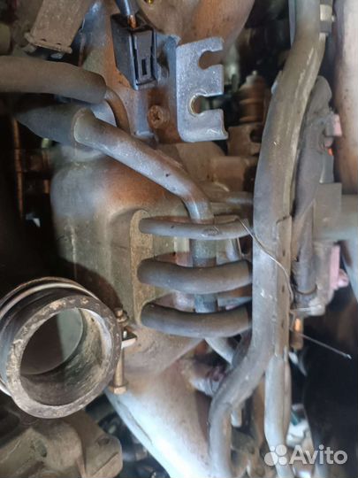 Subaru двигатель ej206