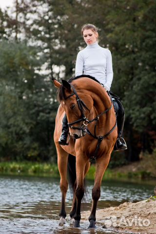 Конный двор липецк силикатный. Конные прогулки силикатные озёра липецк. Конный двор липецк силикатный. Конные прогулки силикатные озёра липецк. Конные прогулки силикатные озёра липецк.