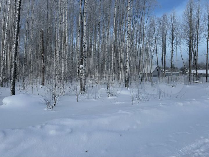 Участок 16,2 сот. (ИЖС)