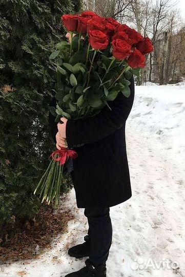 101 роза цветы букеты доставка 25 51 101 роза