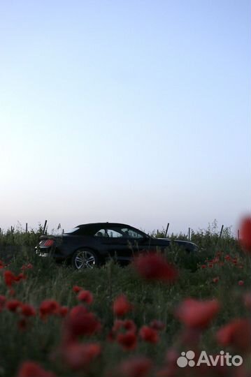 Аренда кабриолета Ford mustang с водителем