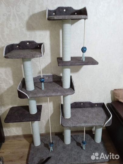 Когтеточка