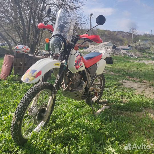 Honda XR250