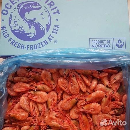 Креветка северная 300+
