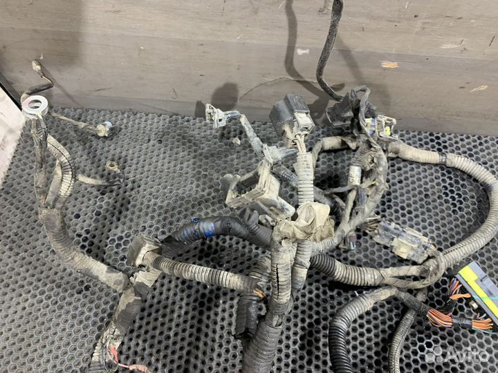 Проводка двигателя Chevrolet Aveo T250 1.2 Авео