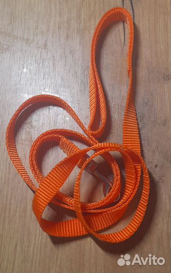 Расческа плюс поводок для маленьких