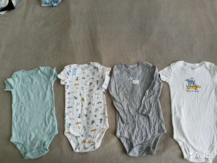 Бодики carters