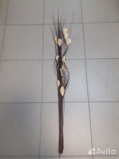 Сухоцветы, тинги, с листочками, букет
