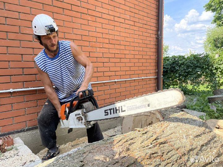 Спил, удаление деревьев. Расчистка участка