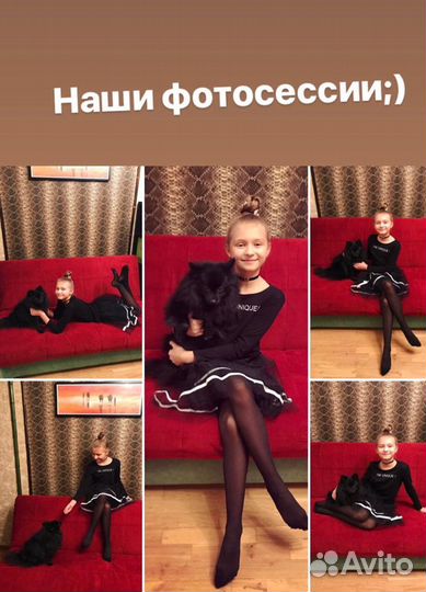 V.I.P передержка собак/догситтер/зоогостиница