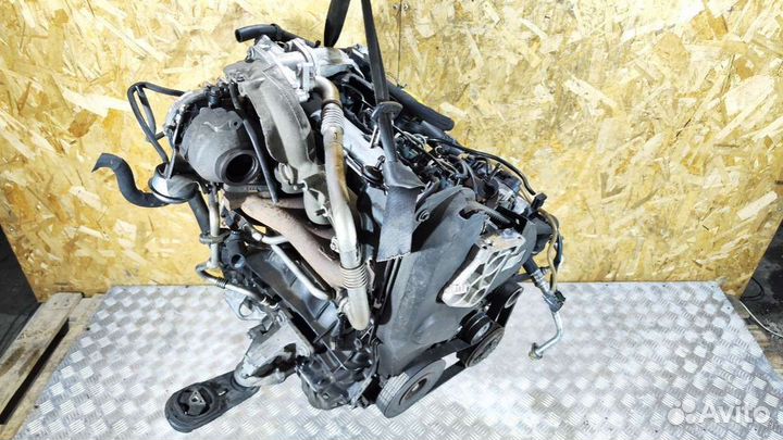 Двигатель Renault Scenic 2 2004 F9Q816 1.9