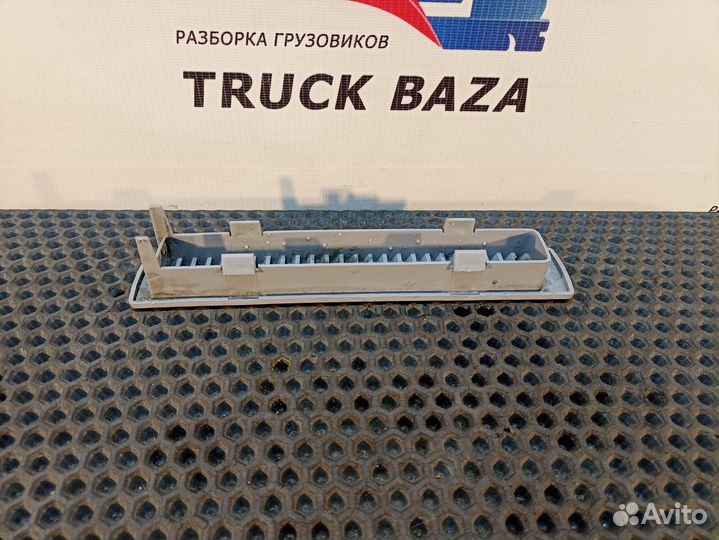 81619500310 Накладка задней стенки Man TGA