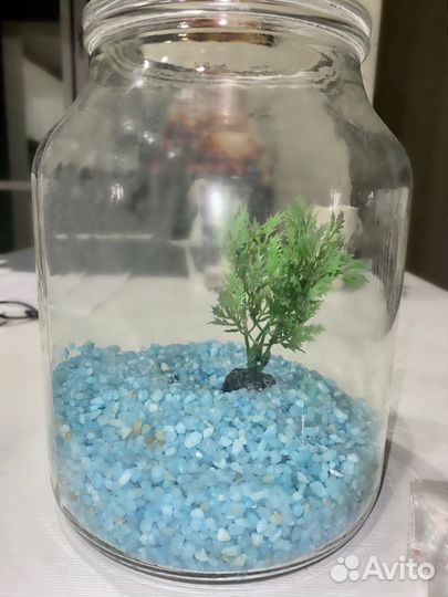 Аквариум для маленькой рыбки
