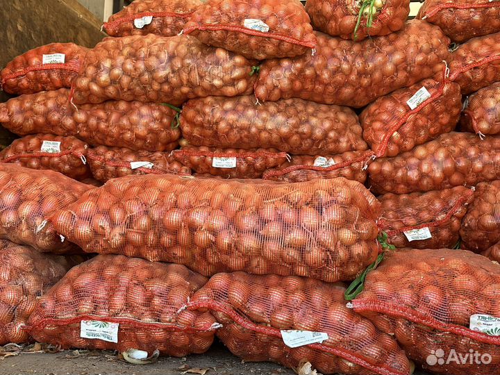 Лук, картофель