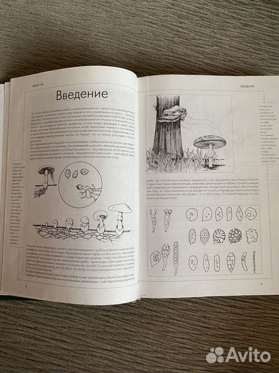 Книга справочник 