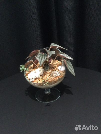 Просто цветы