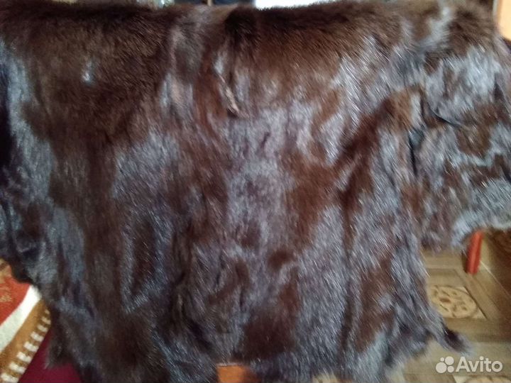 Шкурки нутрии