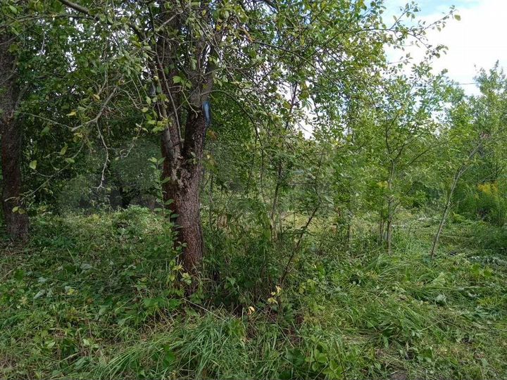 Дача 24 м² на участке 5,6 сот.