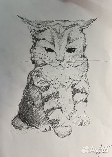 Нарисую вашего питомца за любую сумму