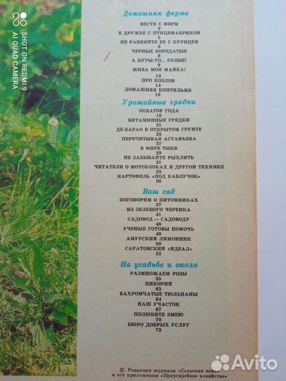 Приусадебное хозяйство