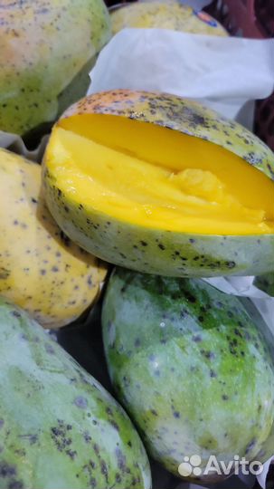 Продам манго Египет