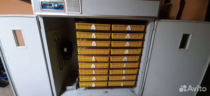 Автоматический инкубатор