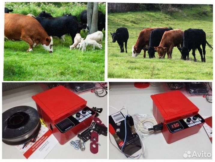 Электропастух