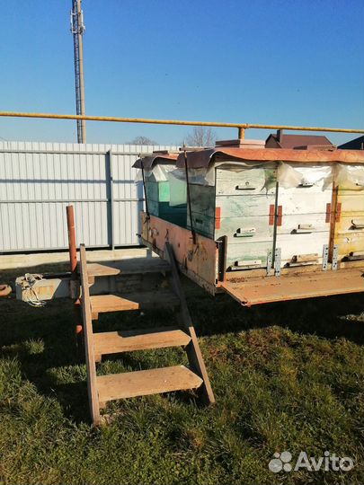 Улей для пчел бу