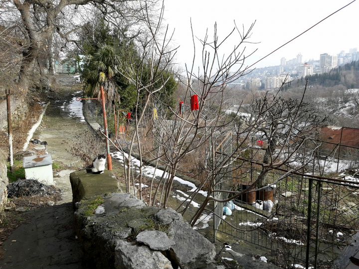 Участок 6,5 сот. (ИЖС)