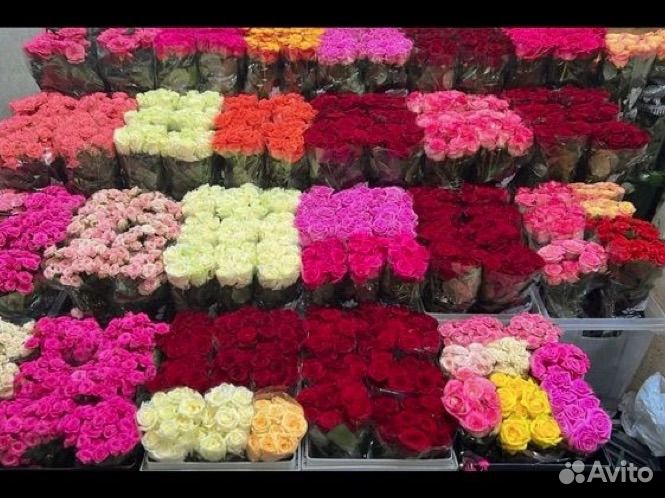 Букеты 51 роза