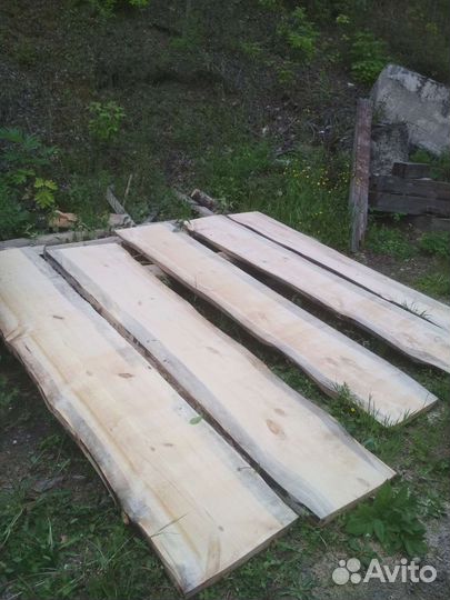 Кело,сухая сосна, лиственница