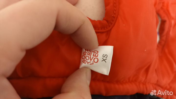 Жилетка для щенков