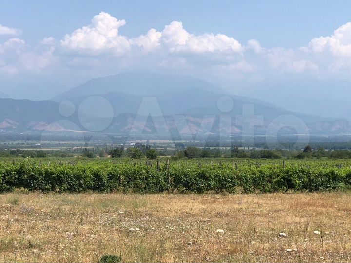 Участок 50000 м² (Грузия)