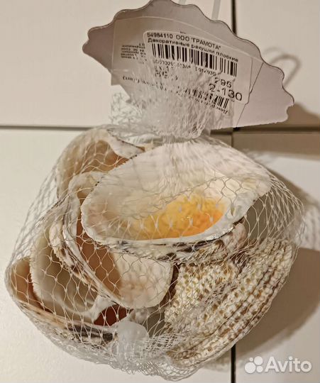 Ракушки декоративные