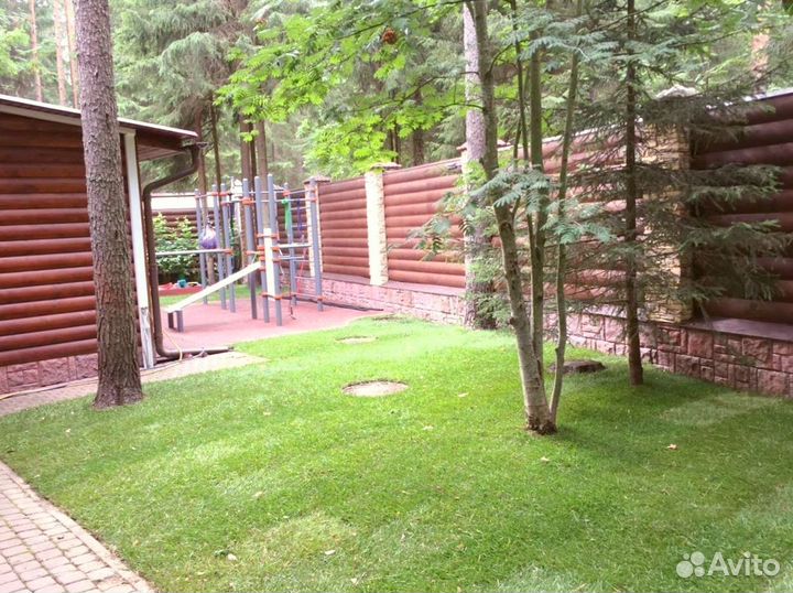 Рулонный газон