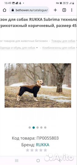 Комбинезон для собаки