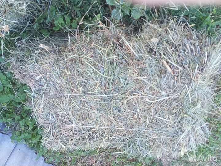 Сено в тюках