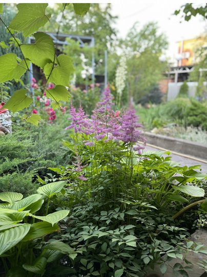 Дом 70 м² на участке 6 сот.