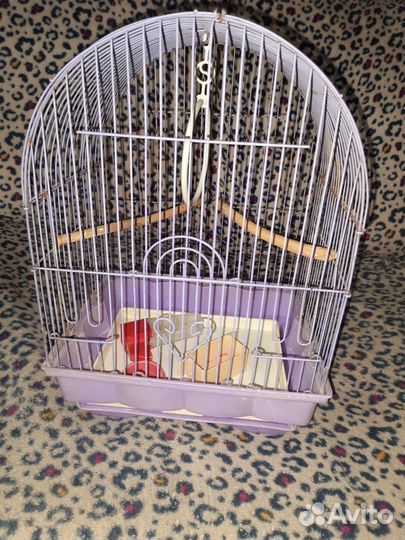 Клетка для попугая
