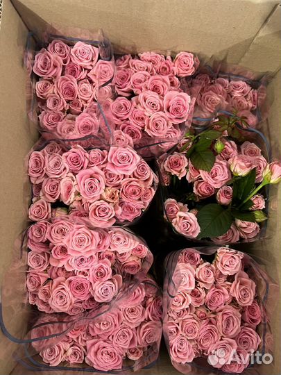 Цветы оптом в г. Белгород