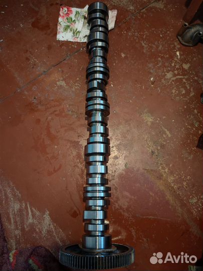 Распредвал Renault Magnum