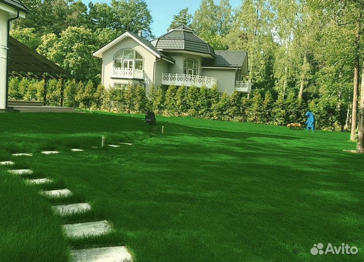 Рулонный газон