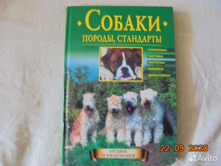 Собаки