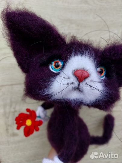 Кот