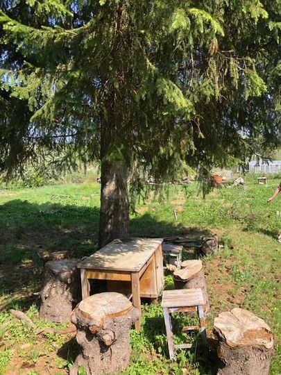 Участок 9,8 сот. (СНТ, ДНП)