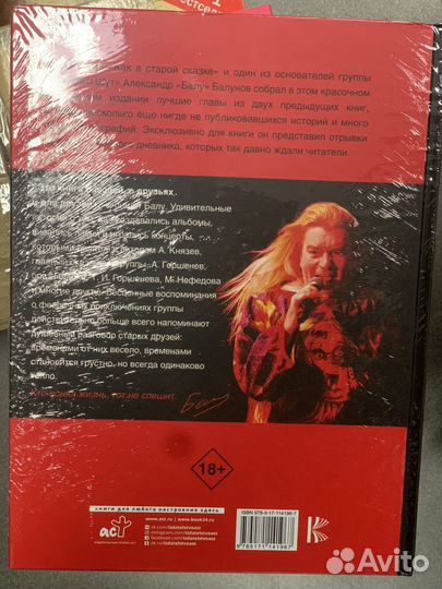 Книга Король и Шут