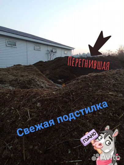 Перегной конского навоза, в мешках, Доставка