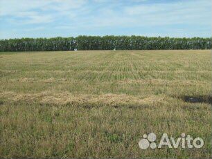 С/х ферма 1165 га