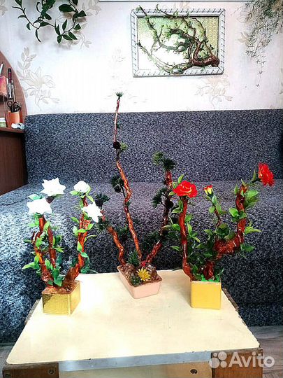 Бонсаи интерьерные